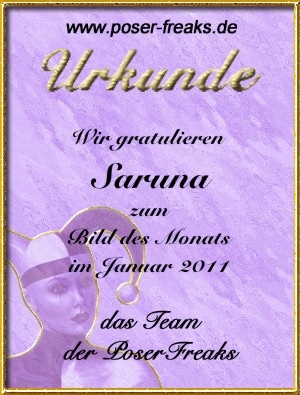Auszeichnung von den Poser-Freaks Bild des Monats Januar 2011